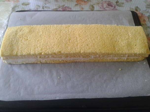 Katkine rezy (fotorecept)  - obrázok 8