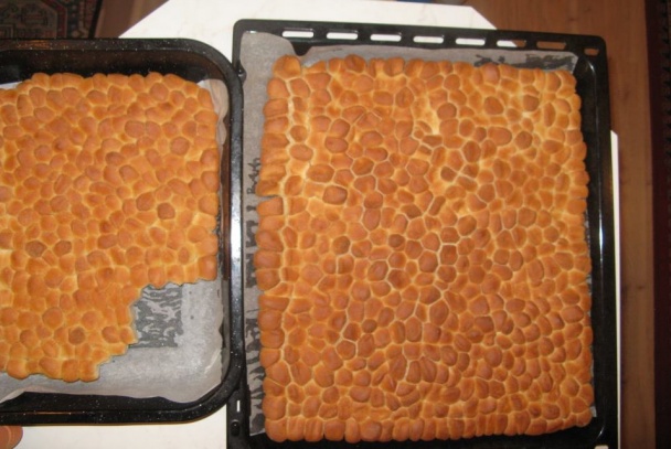 Opekance - Bobaľky - Dukátové buchty (fotorecept) - obrázok 15