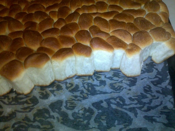 Opekance - Bobaľky - Dukátové buchty (fotorecept) - obrázok 19