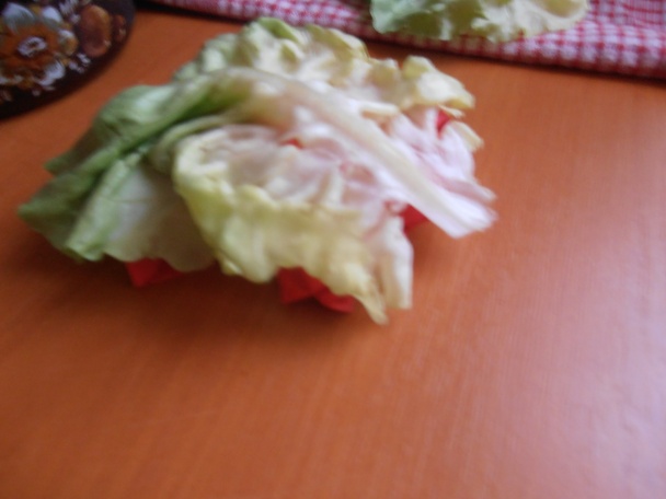 Sníval sa mi sen - obrázok 1