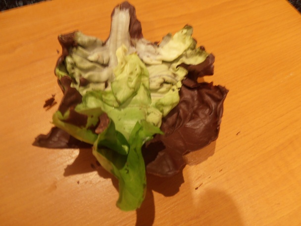 Sníval sa mi sen - obrázok 3