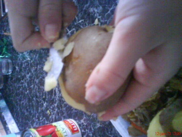 Beluše - obrázok 3