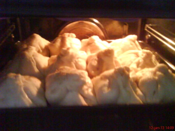 Beluše - obrázok 4