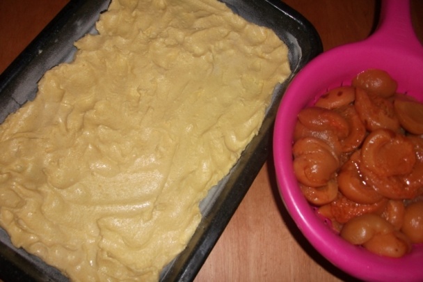 Ovocná rýchlovka (fotorecept) - obrázok 2