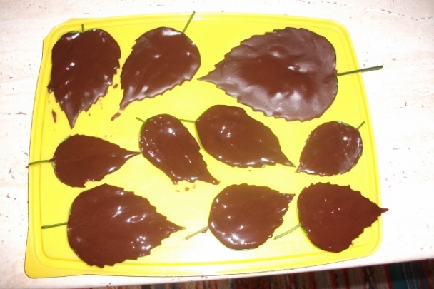 Čokoládové listy na tortu (fotorecept) - obrázok 2