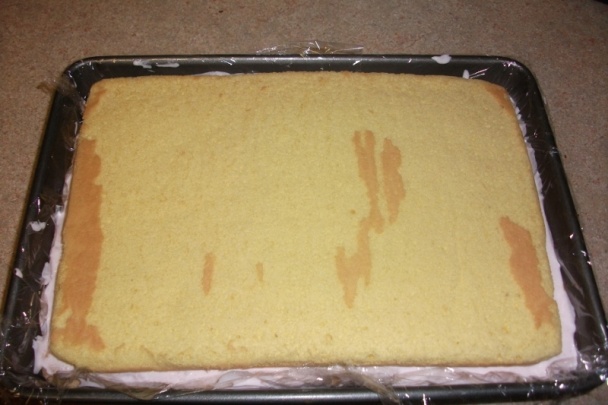 Jogurtovo-smotanová pochúťka (fotorecept) - obrázok 5