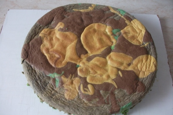 Dúhová torta (fotorecept) - obrázok 4