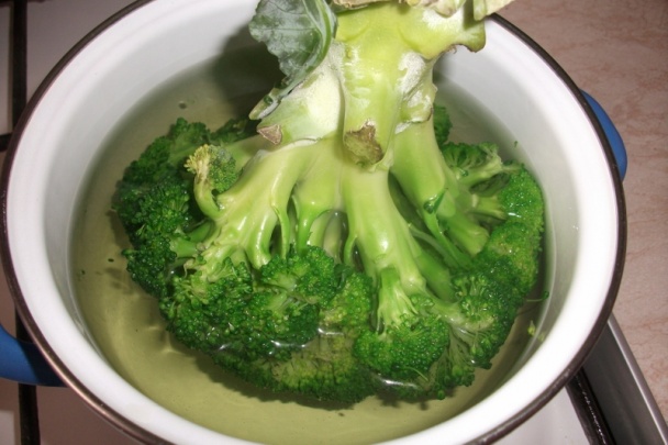 Kuracie mäsko pod rúškom tajomstva - obrázok 2