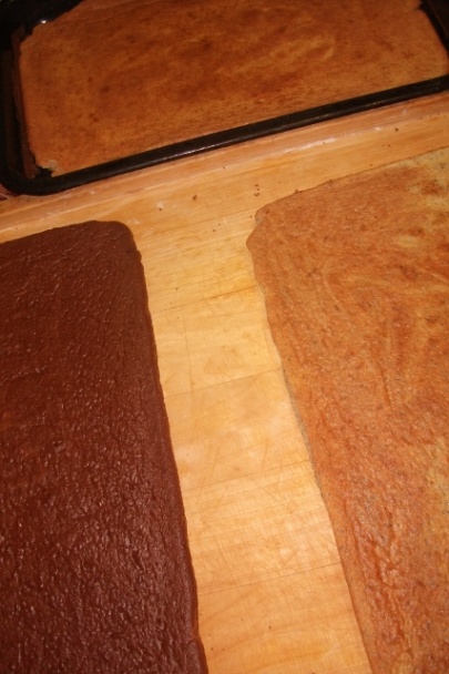 Trio kocky (fotorecept) - obrázok 1