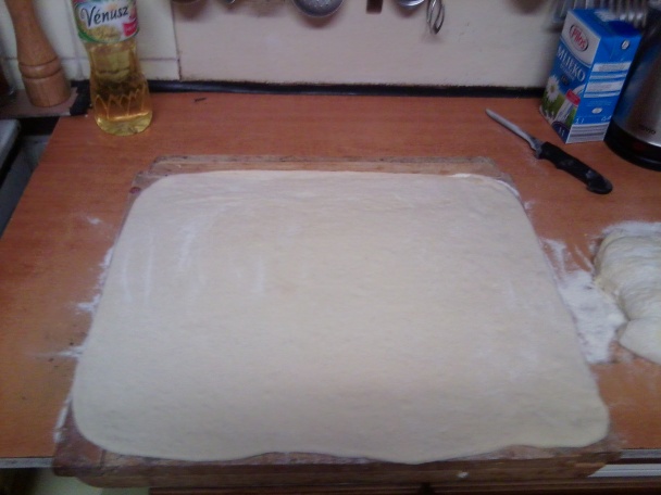 Šišky - obrázok 5