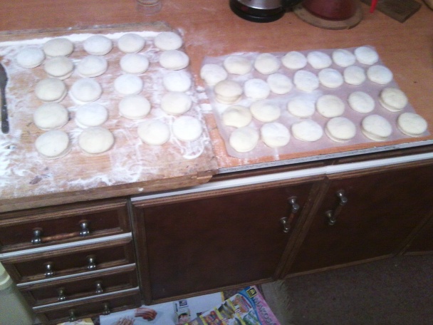 Šišky - obrázok 9