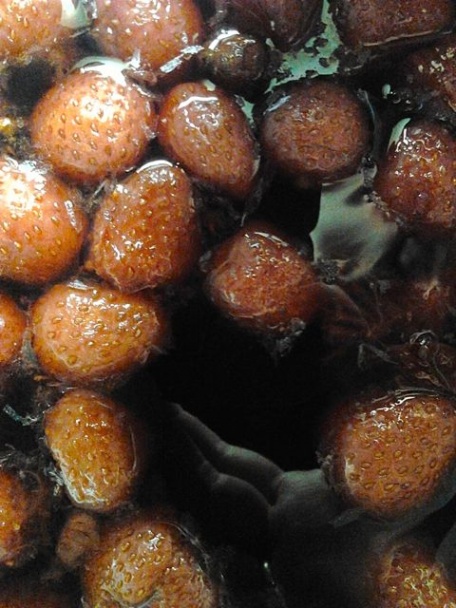 Najlepší vianočný punč - obrázok 4