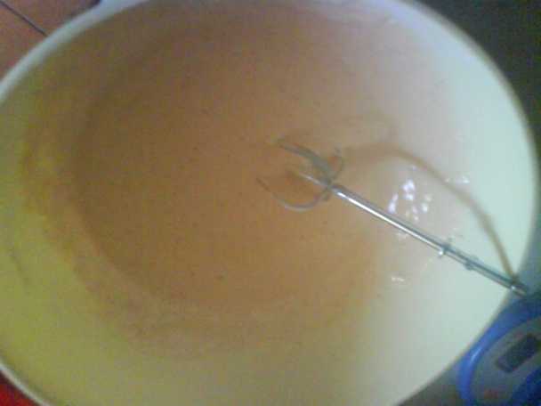 Kuracie strapaté rezne (fotorecept) - obrázok 3