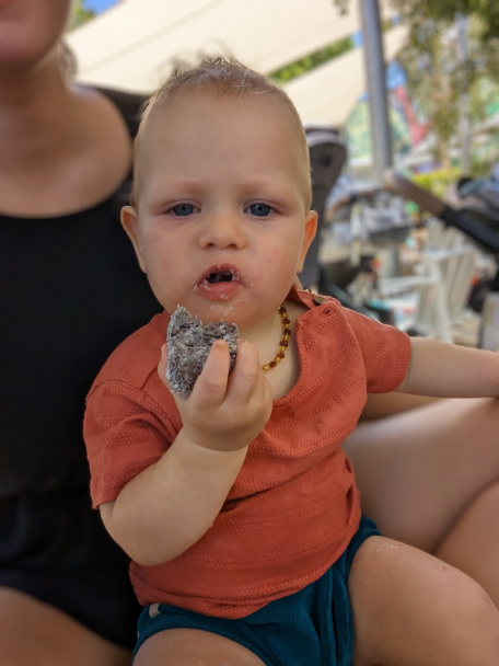 Čučoriedkové fit guľôčky pre deti - obrázok 3