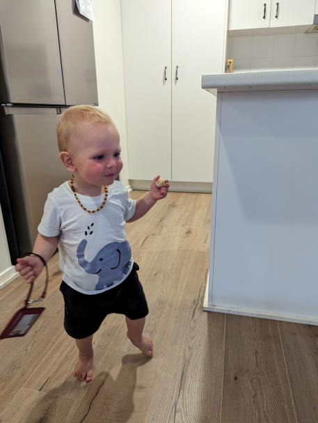 Citrónovo-medové guľôčky pre deti - obrázok 3