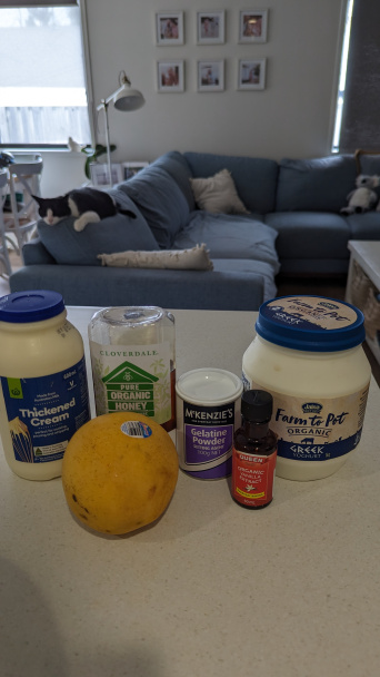 Jogurtová panna cotta s mangom a limetkou (fotorecept) - obrázok 1