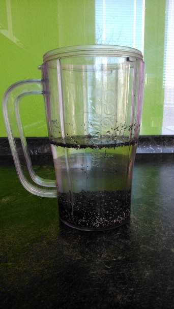 Zdravý a sýty raňajkový shake bez mlieka - obrázok 1