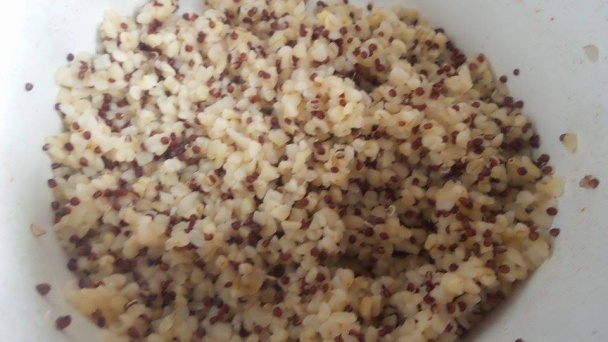 Quingurzotto (fotorecept) - obrázok 1