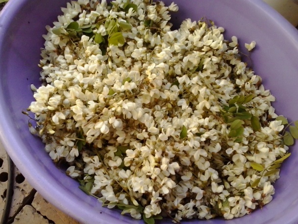 Sladučký agátový med - obrázok 1