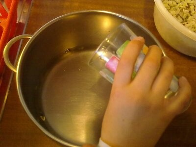 Sladučký agátový med - obrázok 4