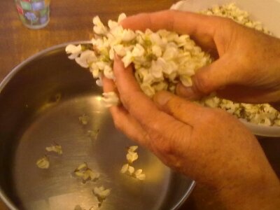 Sladučký agátový med - obrázok 5