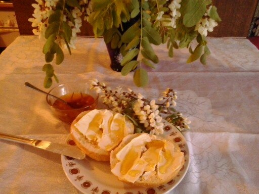 Sladučký agátový med - obrázok 16