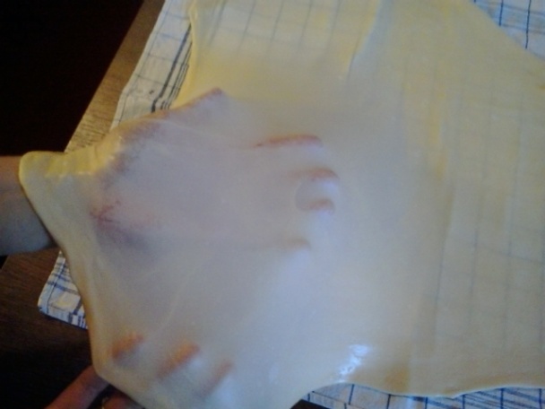 Ťahaná tvarohová štrúdla (fotorecept) - obrázok 7