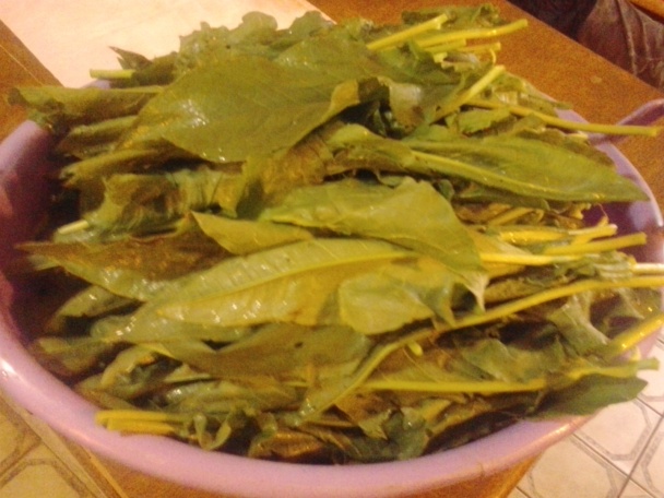 Efelik s cesnakovým jogurtom (fotorecept) - obrázok 4