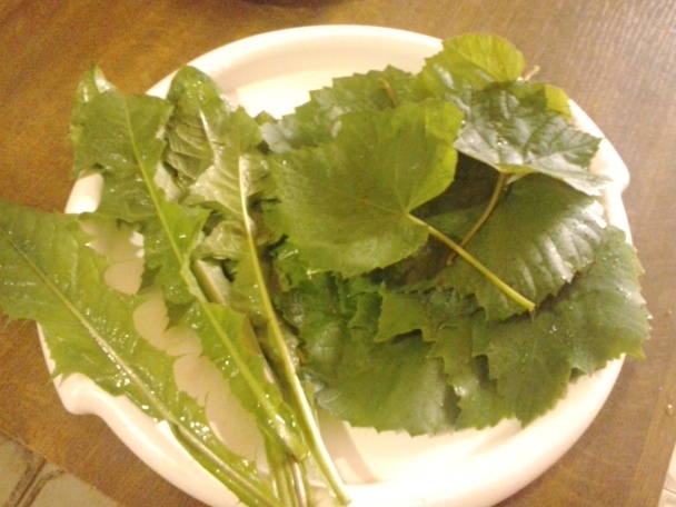 Svieži zemiakový šalát s mladými listami hrozna a púpavy (fotorecept) - obrázok 2