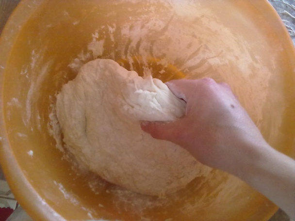 Slaný orechový slimák (fotorecept) - obrázok 3