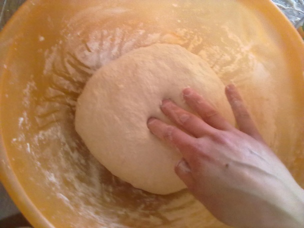 Slaný orechový slimák (fotorecept) - obrázok 4