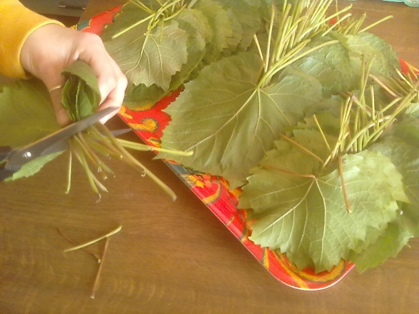 V rúre zapečené, plnené hroznové listy (fotorecept) - obrázok 1