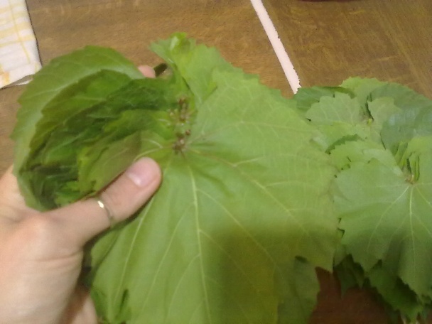 V rúre zapečené, plnené hroznové listy (fotorecept) - obrázok 2