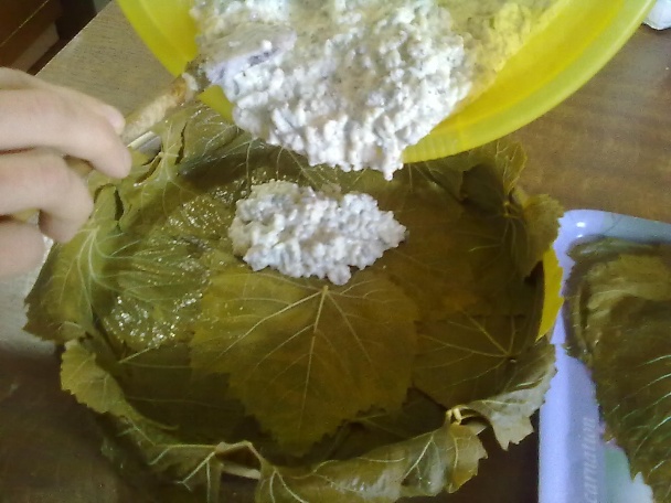 V rúre zapečené, plnené hroznové listy (fotorecept) - obrázok 11