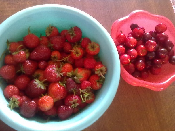 Ľahučký krupicový nákyp s ovocím - obrázok 6