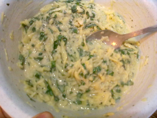 Mätové placky - Naneli Mücver - obrázok 1