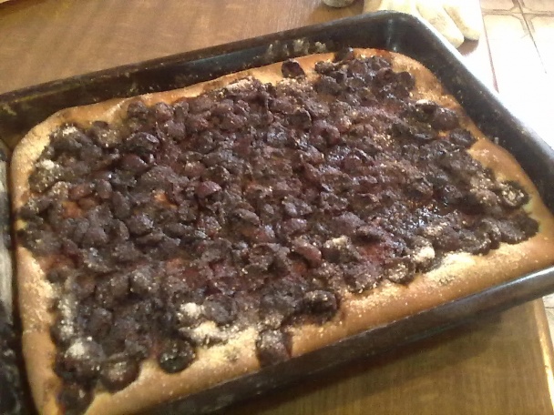 Kysnutý koláč s čerstvým ovocím (fotorecept) - obrázok 12