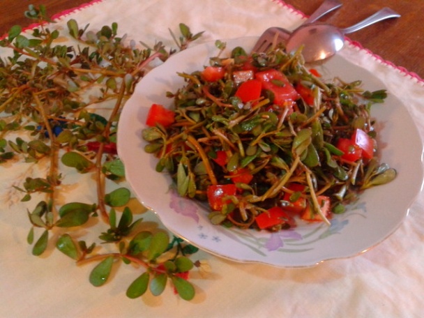 Semizotu Salatası - obrázok 2