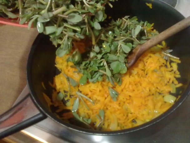 Semizotu mezesi (fotorecept) - obrázok 5