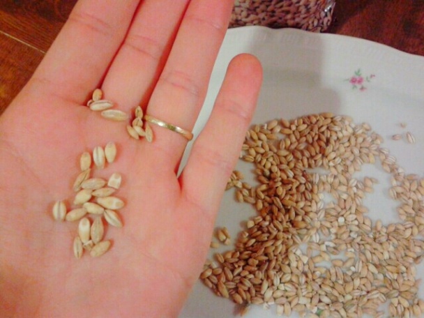 Nohutlu soğuk yoğurt çorbası - Studená jogurtová polievka s cícerom (fotorecept) - obrázok 2