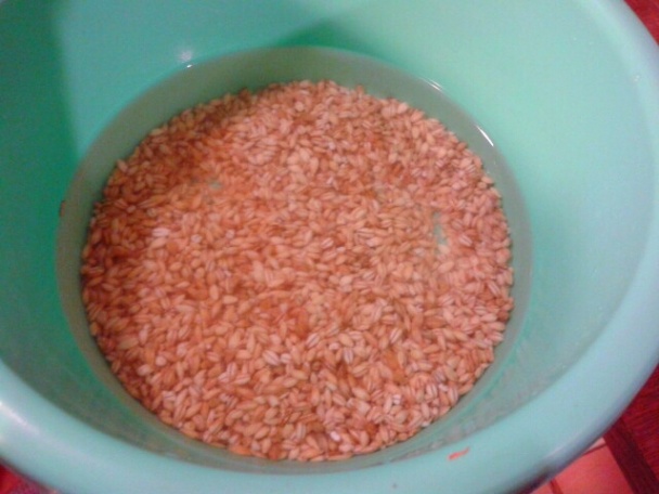 Nohutlu soğuk yoğurt çorbası - Studená jogurtová polievka s cícerom (fotorecept) - obrázok 3