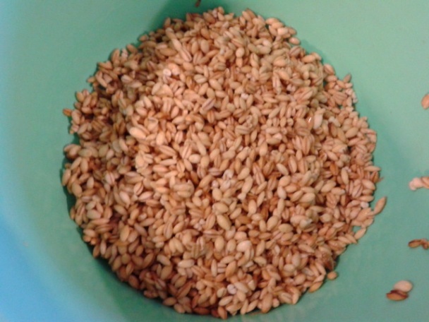 Nohutlu soğuk yoğurt çorbası - Studená jogurtová polievka s cícerom (fotorecept) - obrázok 4