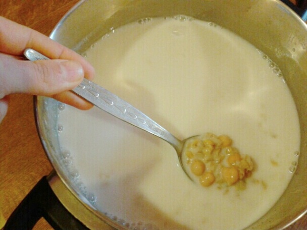 Nohutlu soğuk yoğurt çorbası - Studená jogurtová polievka s cícerom (fotorecept) - obrázok 10