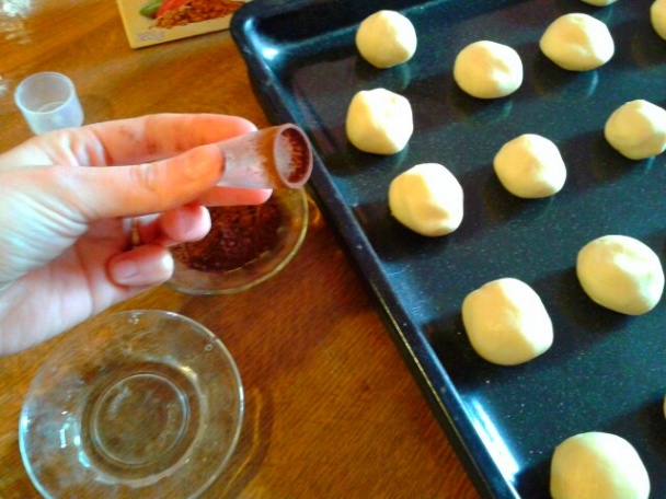 Mantar Kurabiye (fotorecept) - obrázok 6