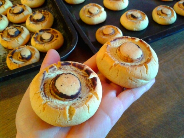 Mantar Kurabiye (fotorecept) - obrázok 11