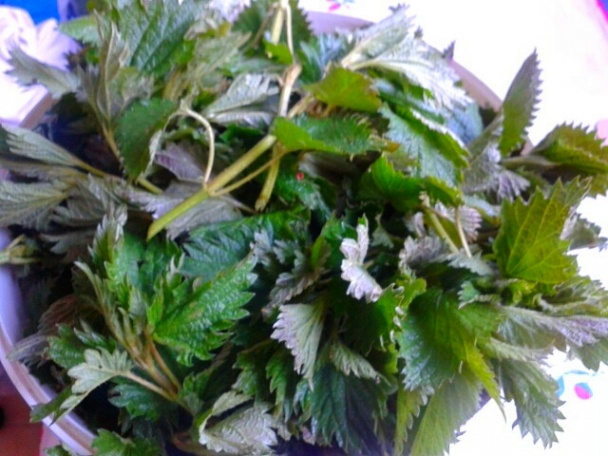 Žihľavové rezy s citrónovou polevou (fotorecept) - obrázok 1