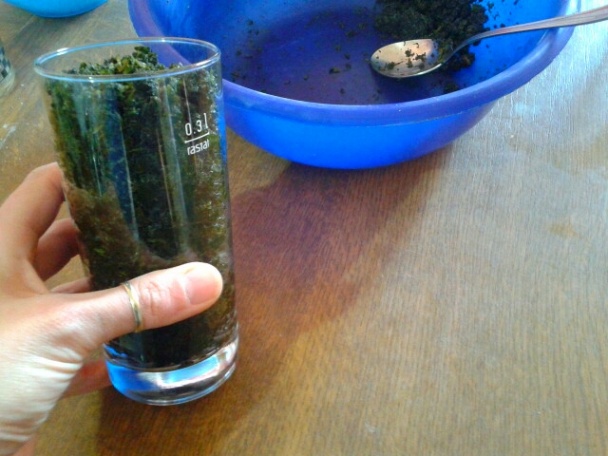 Žihľavové rezy s citrónovou polevou (fotorecept) - obrázok 2