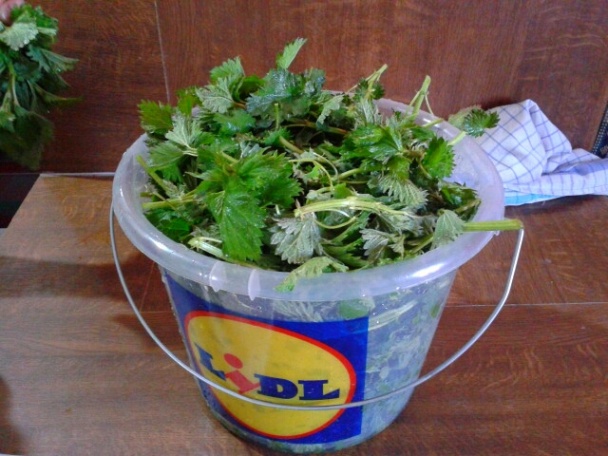 Žihľavový prívarok (fotorecept) - obrázok 1