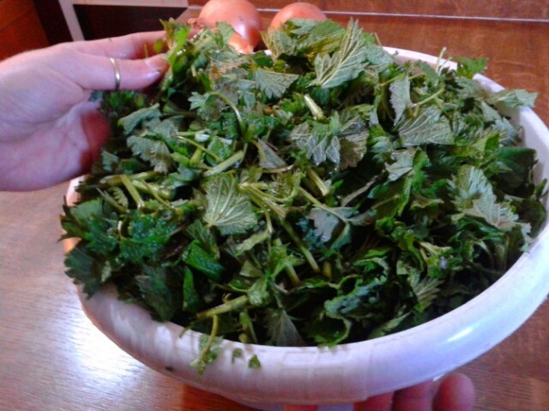 Žihľavový prívarok (fotorecept) - obrázok 3