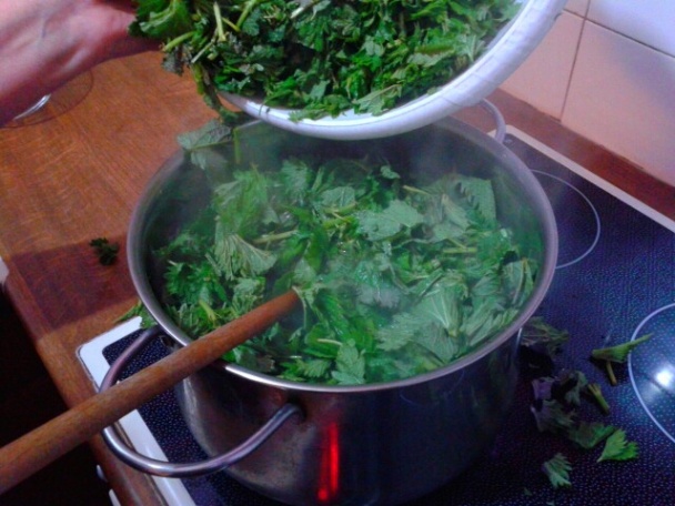 Žihľavový prívarok (fotorecept) - obrázok 4